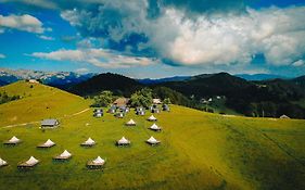 Ursa Mica Glamping Resort