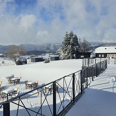 Ursa Mica Glamping Resort Şirnea Exterior foto