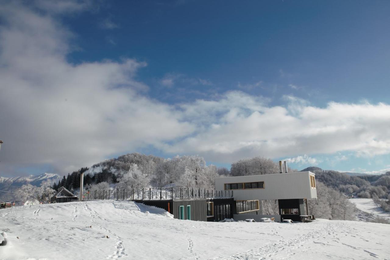 Ursa Mica Glamping Resort Şirnea Exterior foto