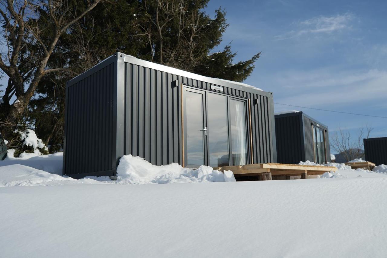 Ursa Mica Glamping Resort Şirnea Exterior foto