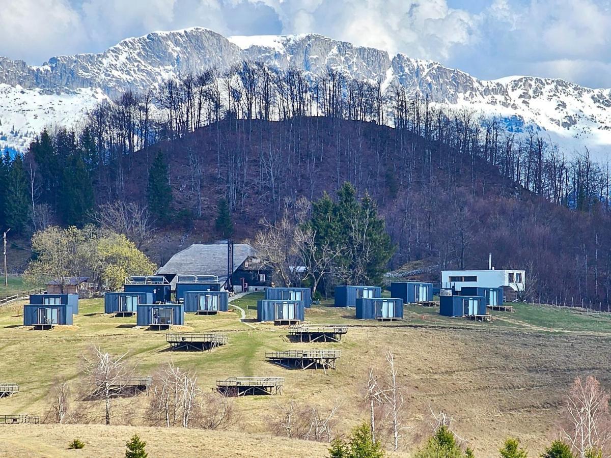 Ursa Mica Glamping Resort Şirnea Exterior foto