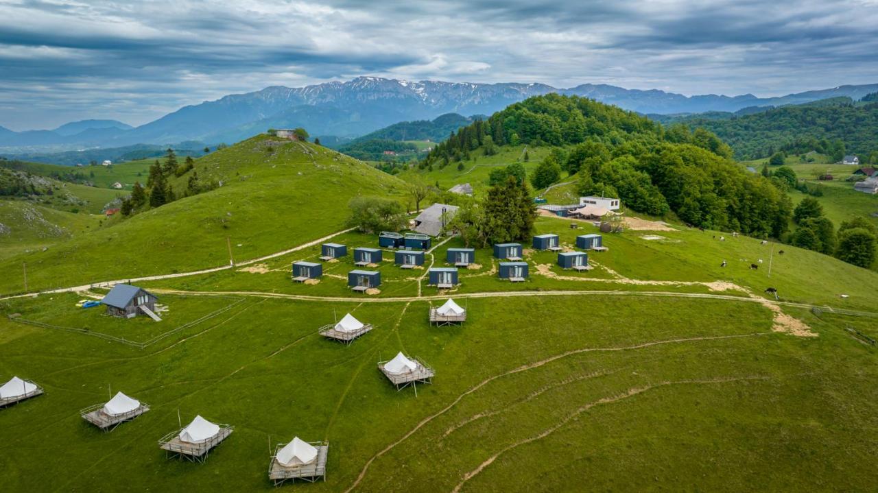Ursa Mica Glamping Resort Şirnea Exterior foto
