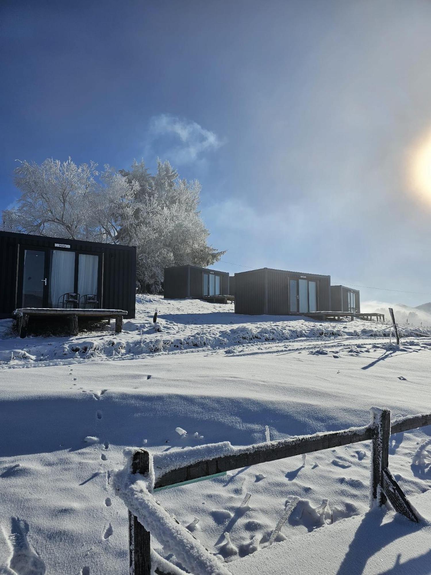 Ursa Mica Glamping Resort Şirnea Exterior foto