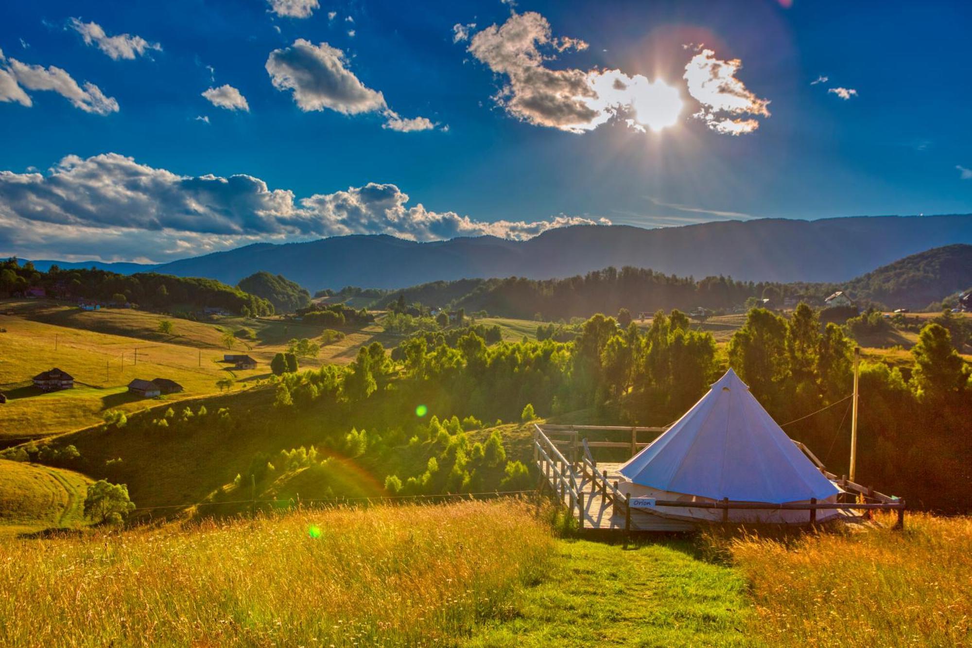 Ursa Mica Glamping Resort Şirnea Exterior foto
