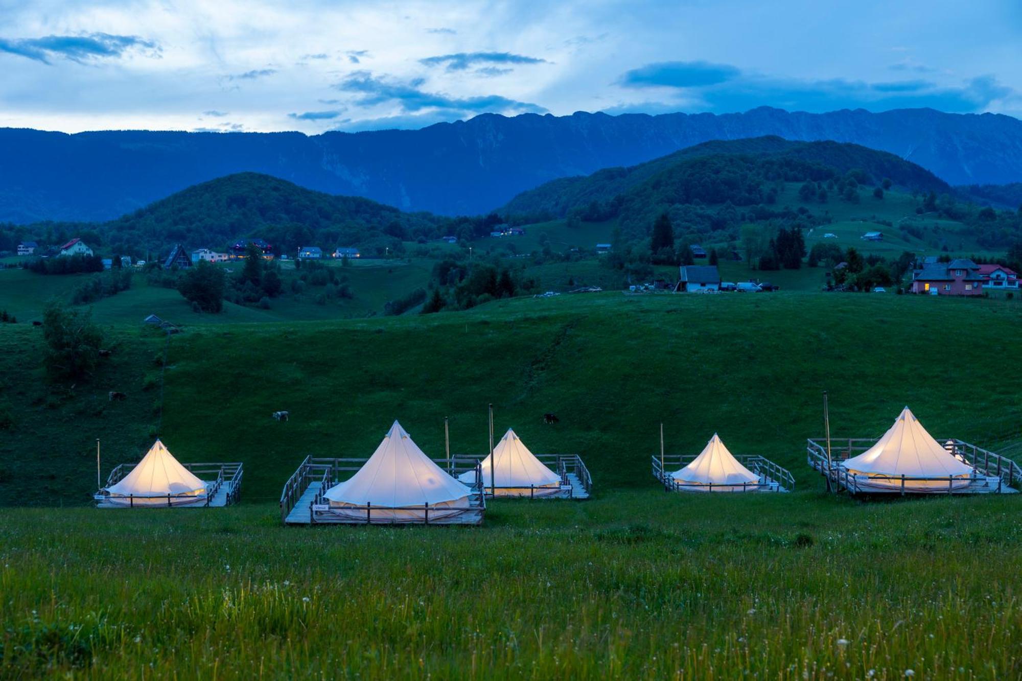 Ursa Mica Glamping Resort Şirnea Exterior foto