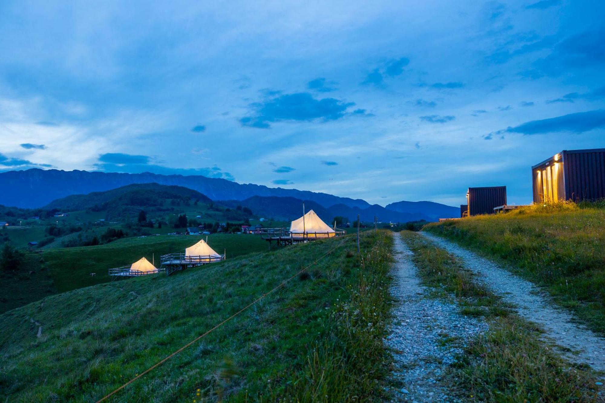 Ursa Mica Glamping Resort Şirnea Exterior foto
