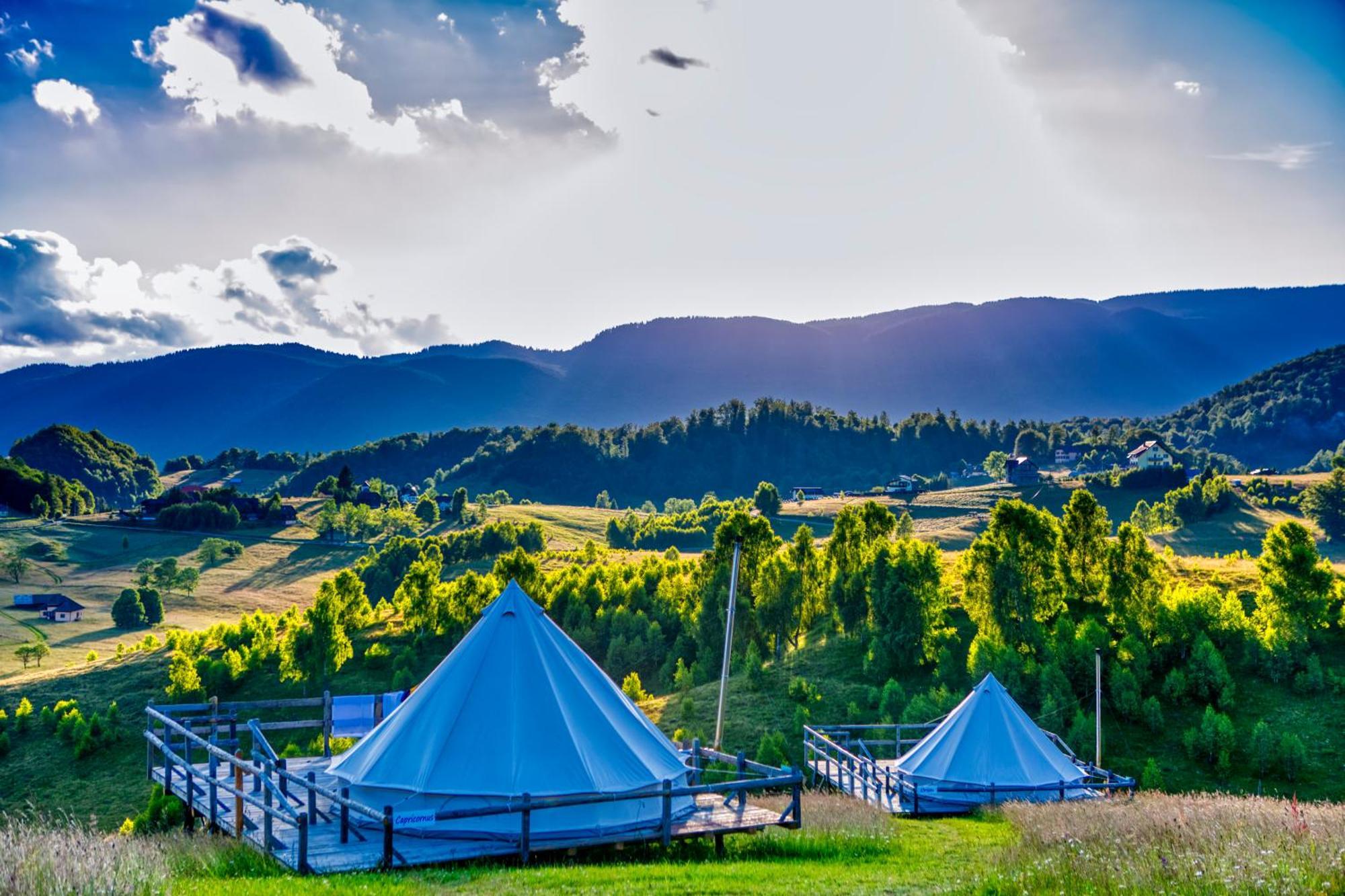 Ursa Mica Glamping Resort Şirnea Exterior foto