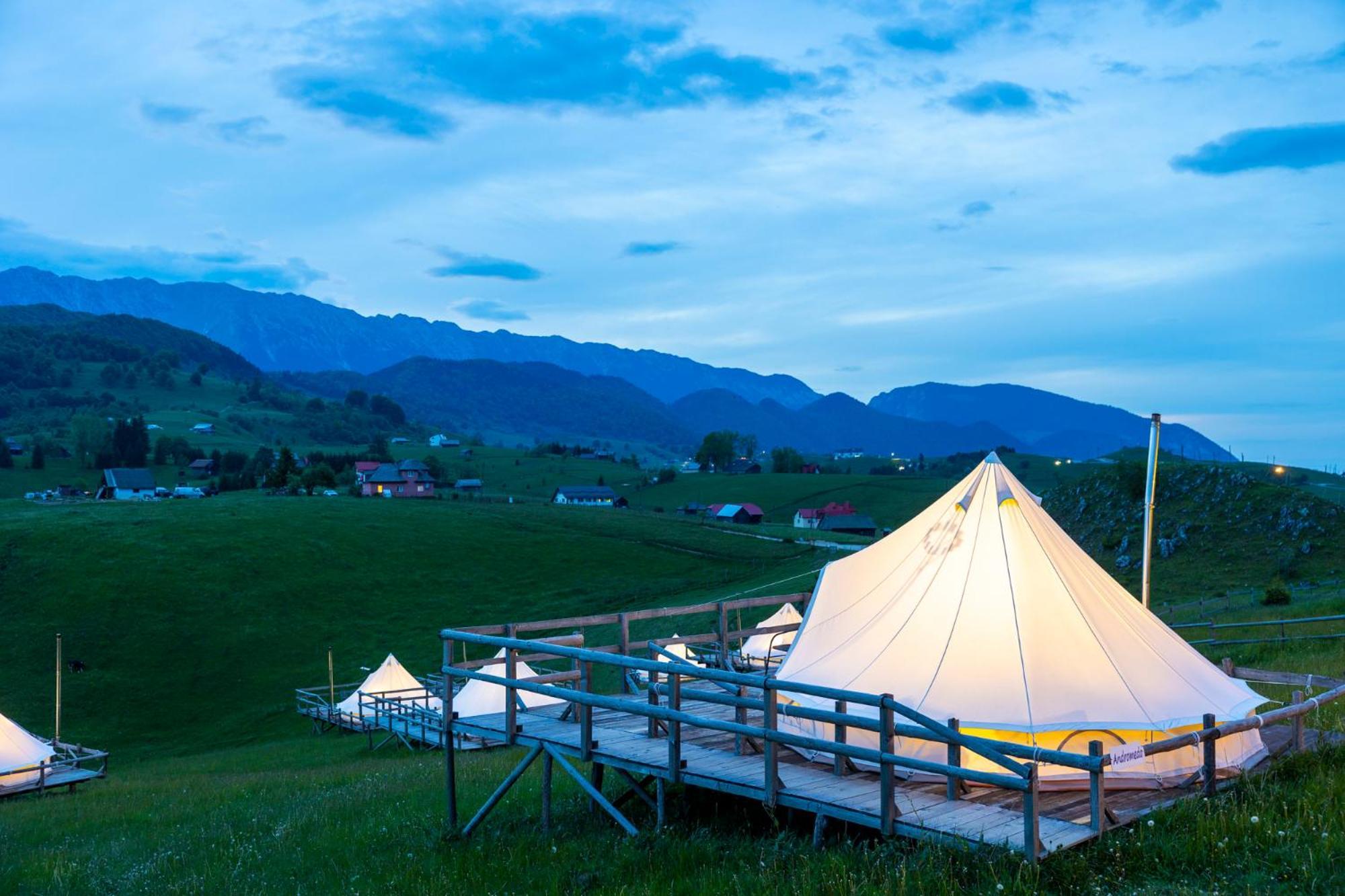 Ursa Mica Glamping Resort Şirnea Exterior foto
