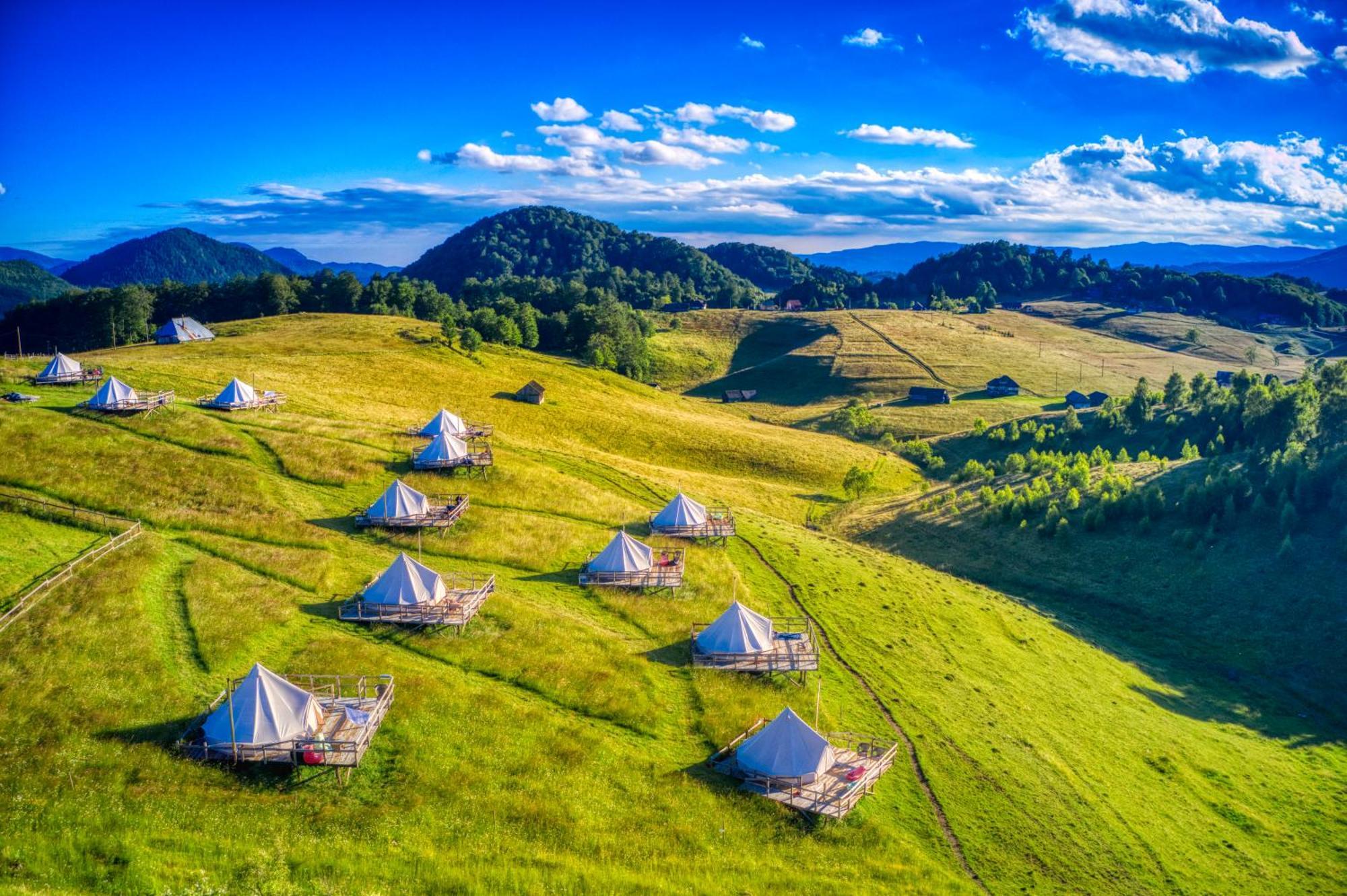 Ursa Mica Glamping Resort Şirnea Exterior foto