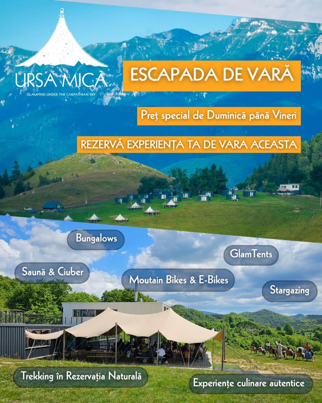 Ursa Mica Glamping Resort Şirnea Exterior foto